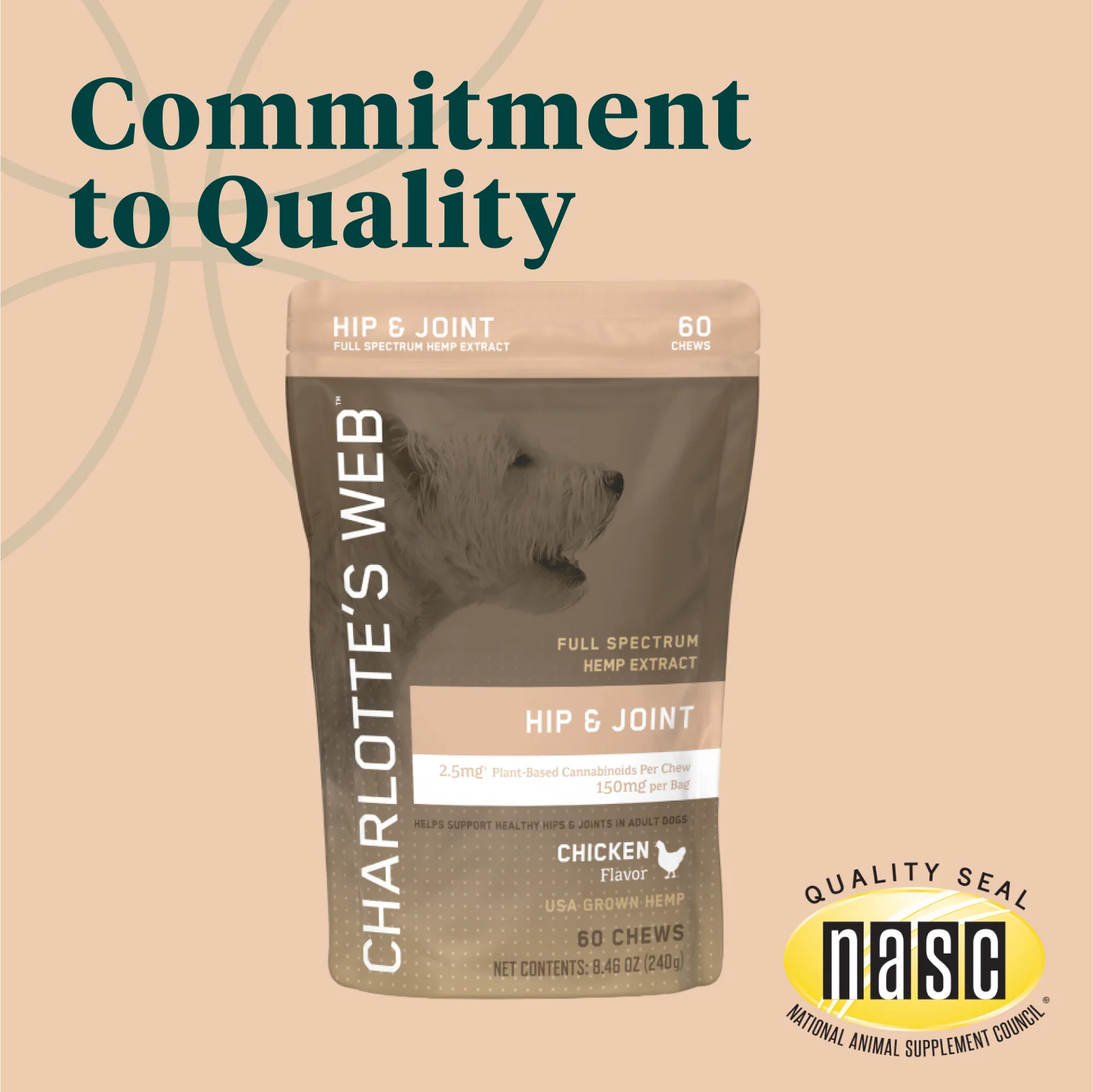 CBD Hip & Joint Chews for Dogs - Image 4